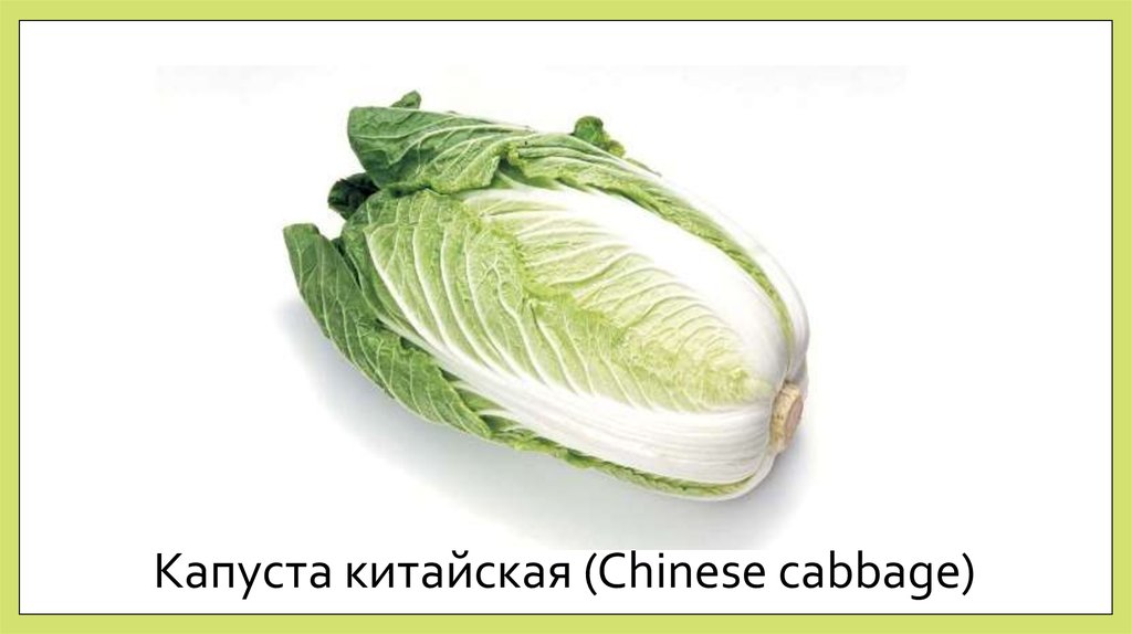 Капуста китайская (Chinese cabbage)