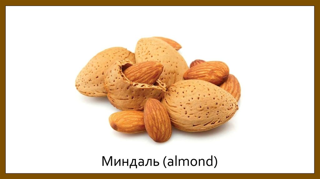 Миндаль (almond)