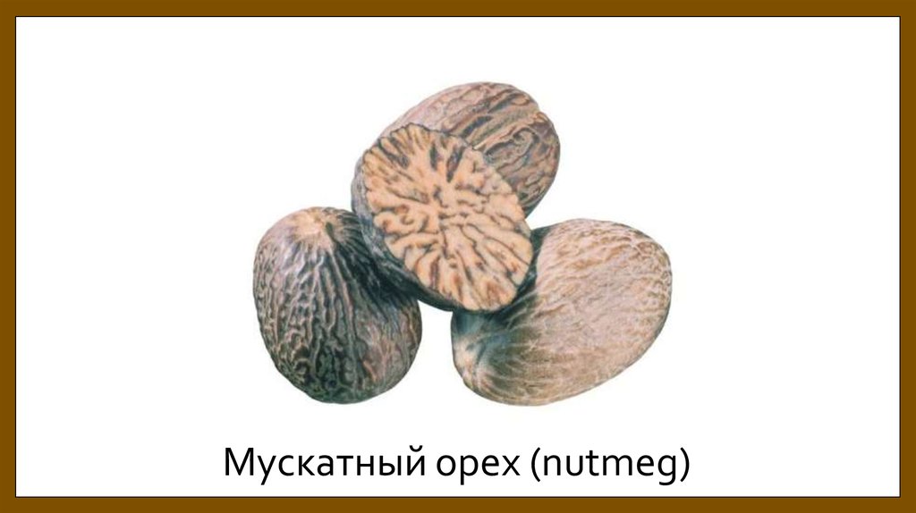 Мускатный орех (nutmeg)