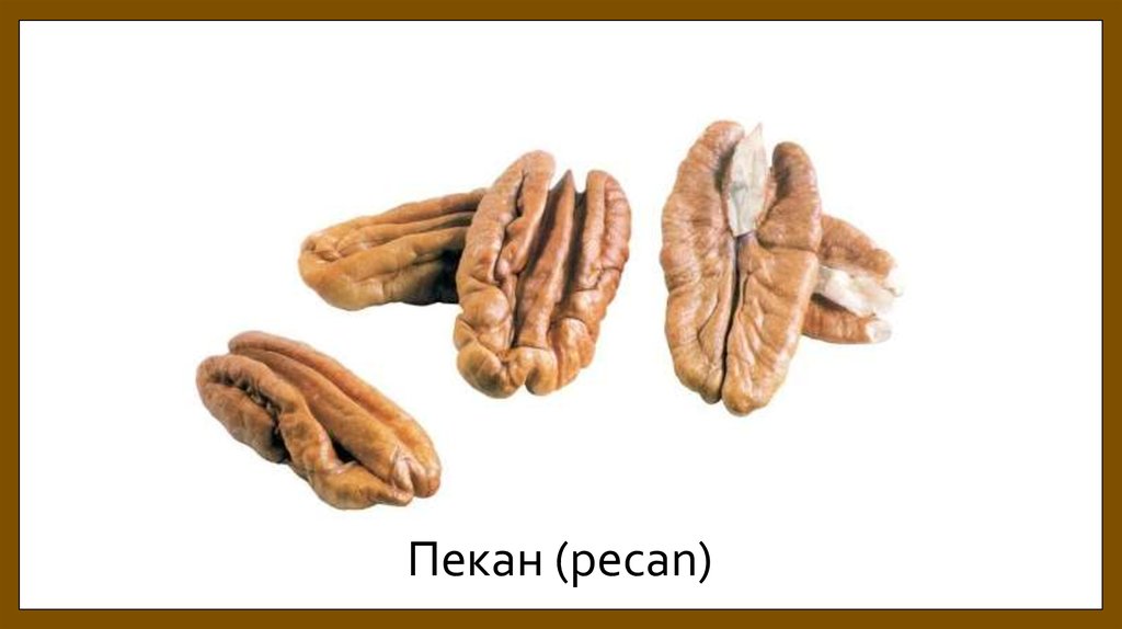 Пекан (pecan)