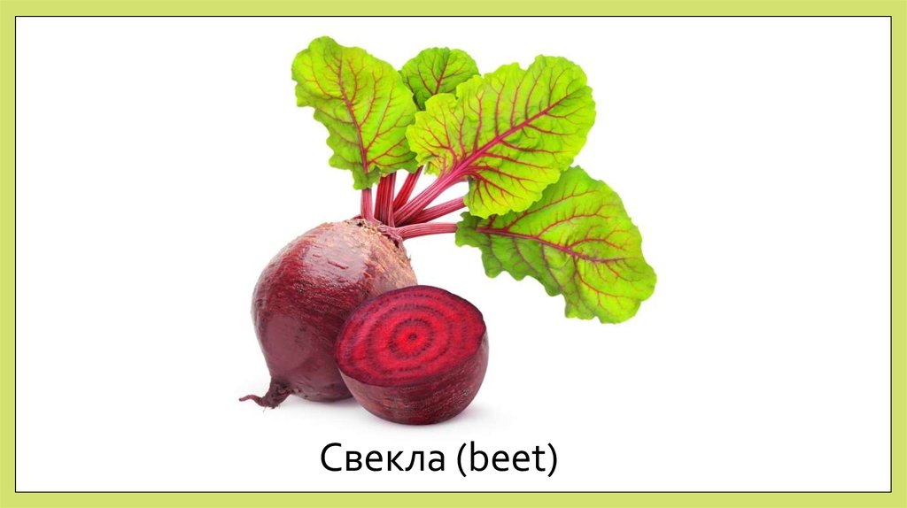 Свекла (beet)
