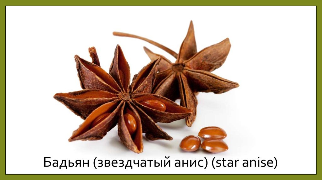 Бадьян (звездчатый анис) (star anise)