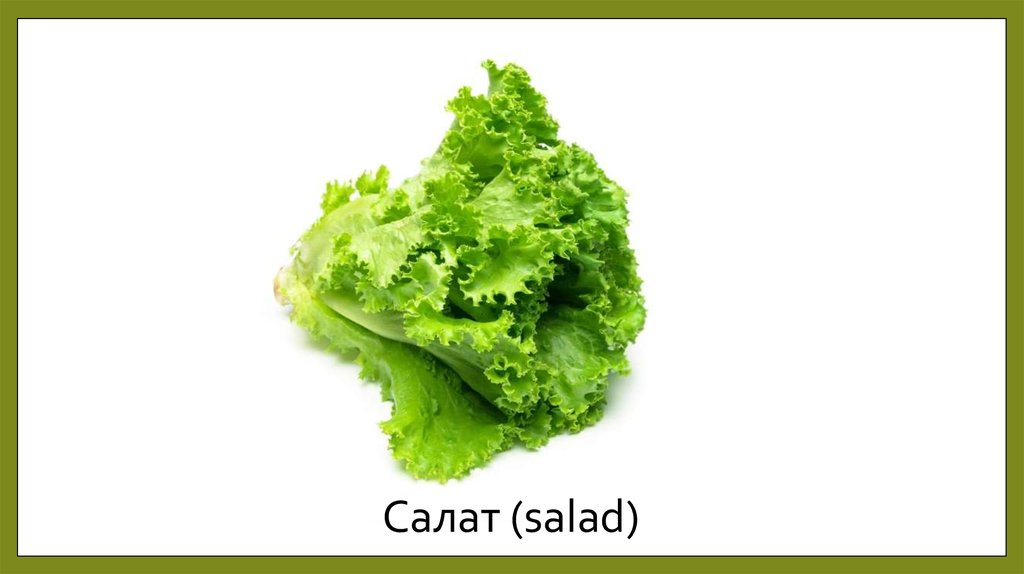 Салат (salad)