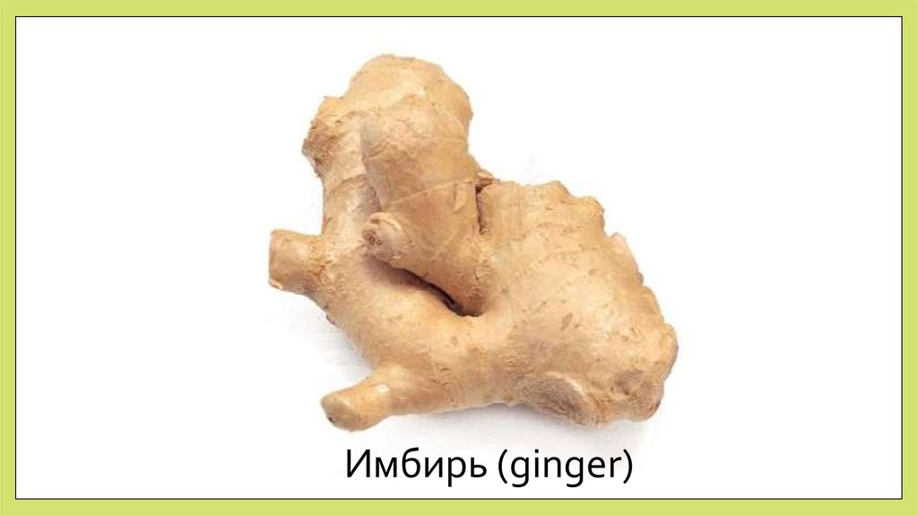 Имбирь (ginger)
