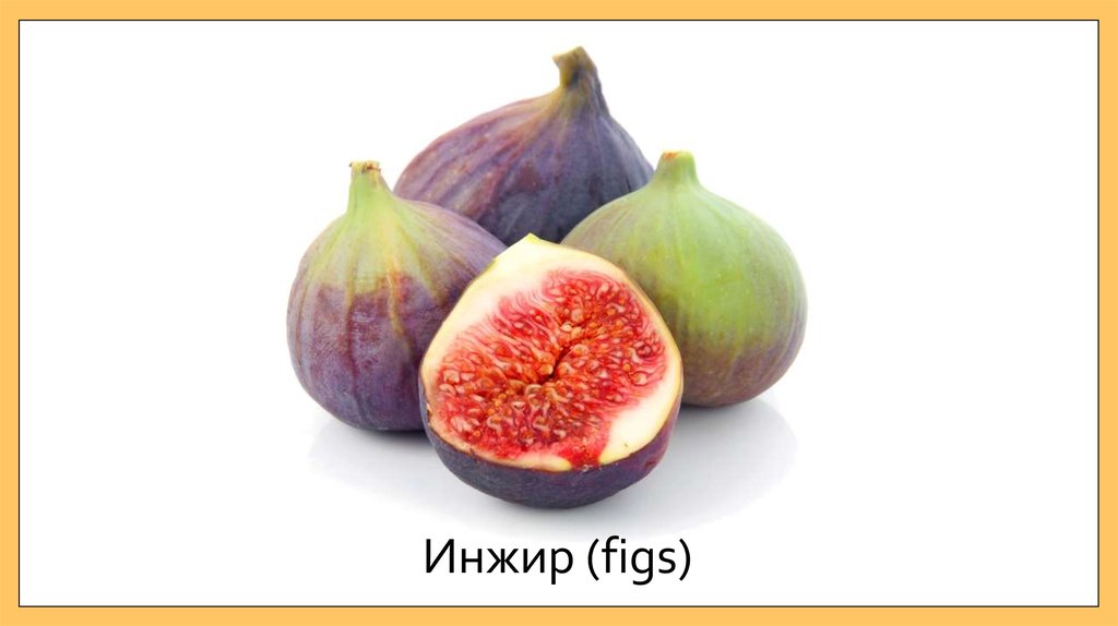 Инжир (figs)