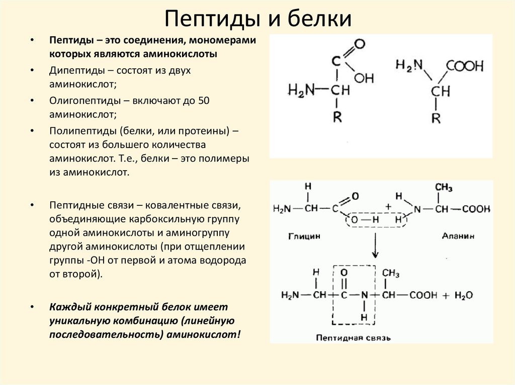 Какие аминокислоты в коллагене. Пептиды и белки химический Синтез пептидов. Белок аминокислота пептид полипептид. Общее строение гормонов пептидные. Аминокислоты пептиды белки химия строение.