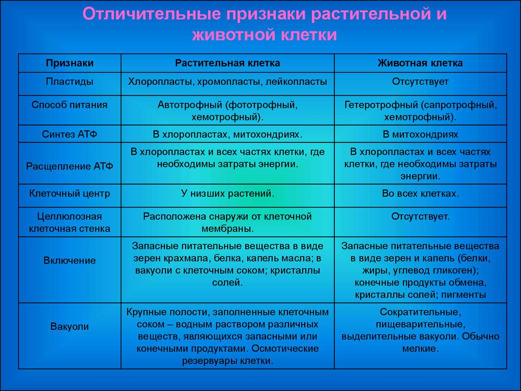 Методы изучения жизнедеятельности клетки 5 класс план сообщения