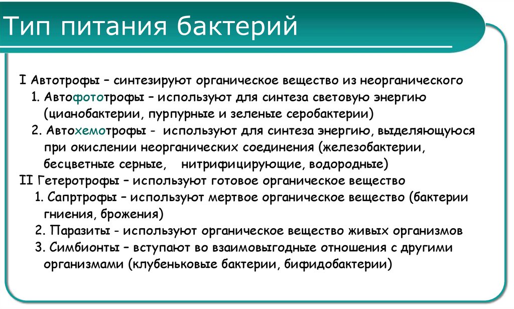 Какие различают бактерии по способу питания кратко