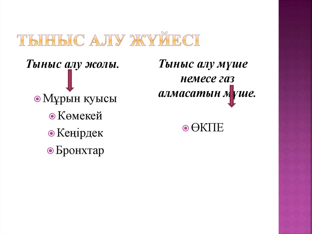 Алу жолдары. Тыныс алу жолдары презентация. Тыныс алу жүйесінің Медбикелік күтім презентация. Тыныс АО Казахстан.