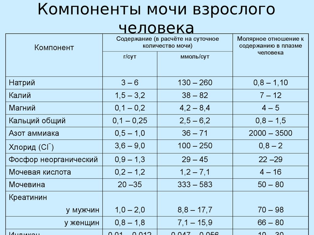 Биохимия мочи биохимия презентация