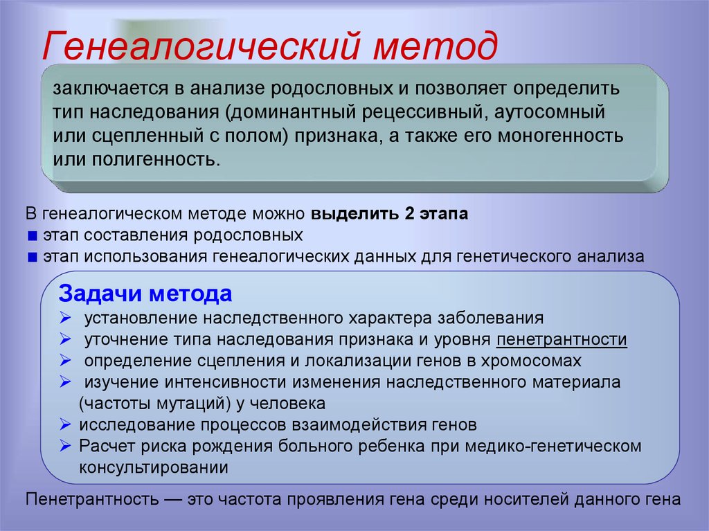 Методы изучения наследственности человека презентация 10 класс