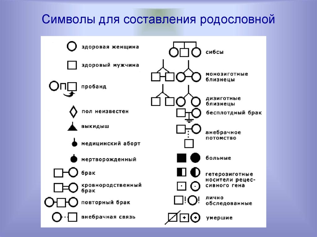 Изучите графическое изображение родословной семьи по одному изучаемому признаку ответы на вопросы