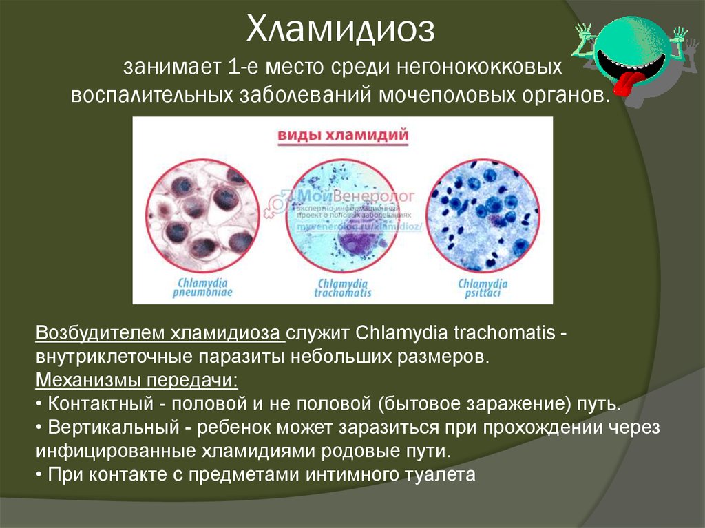 Определение хламидий. Хламидии возбудитель хламидиоза. Хламидии - возбудители урогенитальных инфекций. Хламидии микробиология заболевания. Резервуар инфекции хламидии.