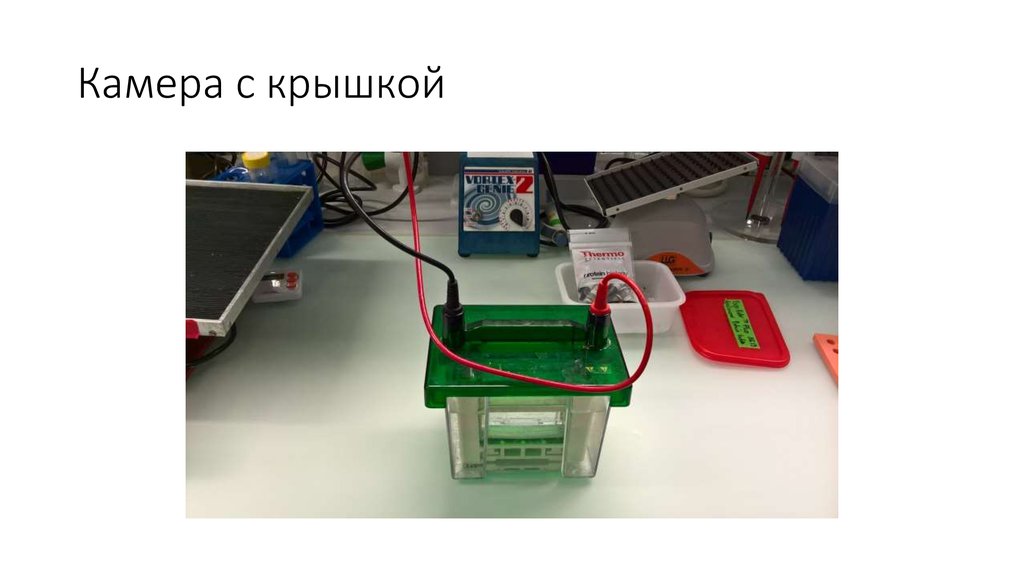 Камера с крышкой