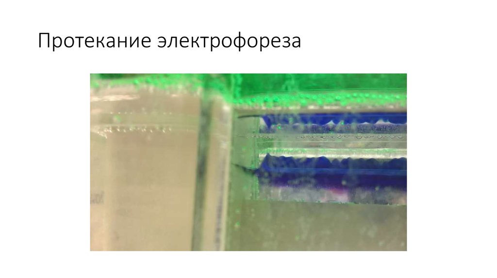 Протекание электрофореза
