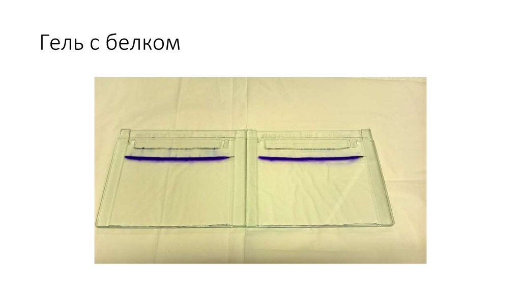 Гель с белком