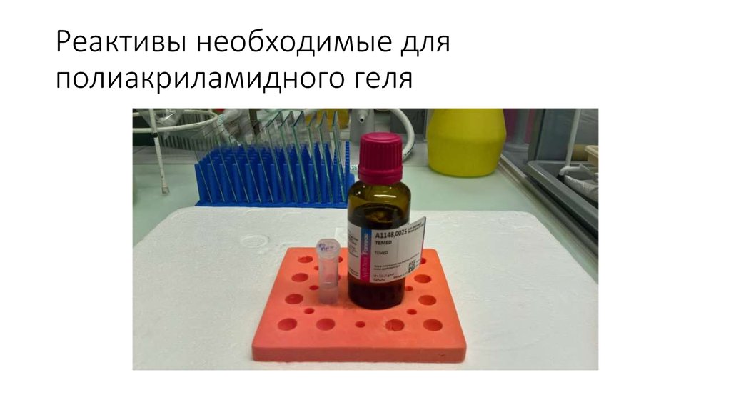 Реактивы необходимые для полиакриламидного геля
