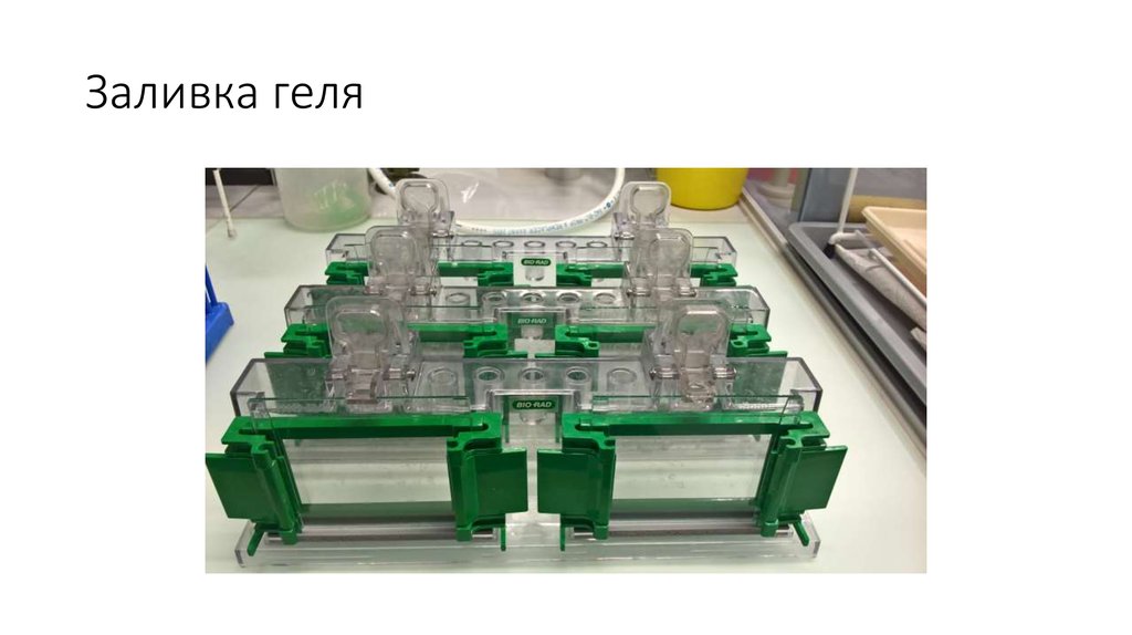 Заливка геля