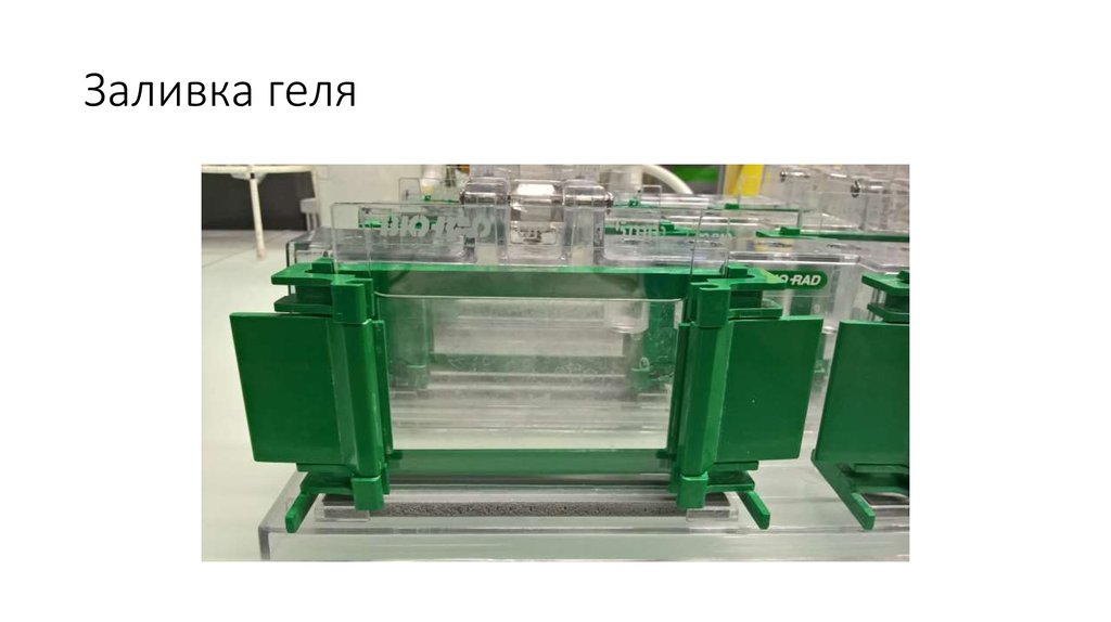 Заливка геля