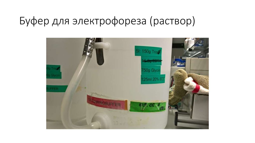 Буфер для электрофореза (раствор)
