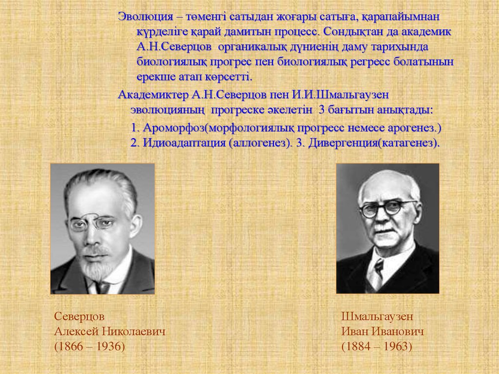 Шмальгаузен вклад в биологию. Шмальгаузен Эволюция эволюции. Северцов и Шмальгаузен.