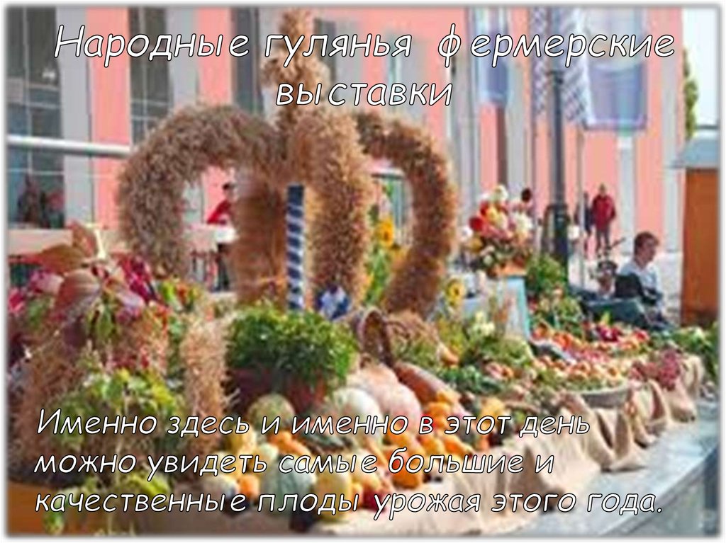 Народные гулянья фермерские выставки