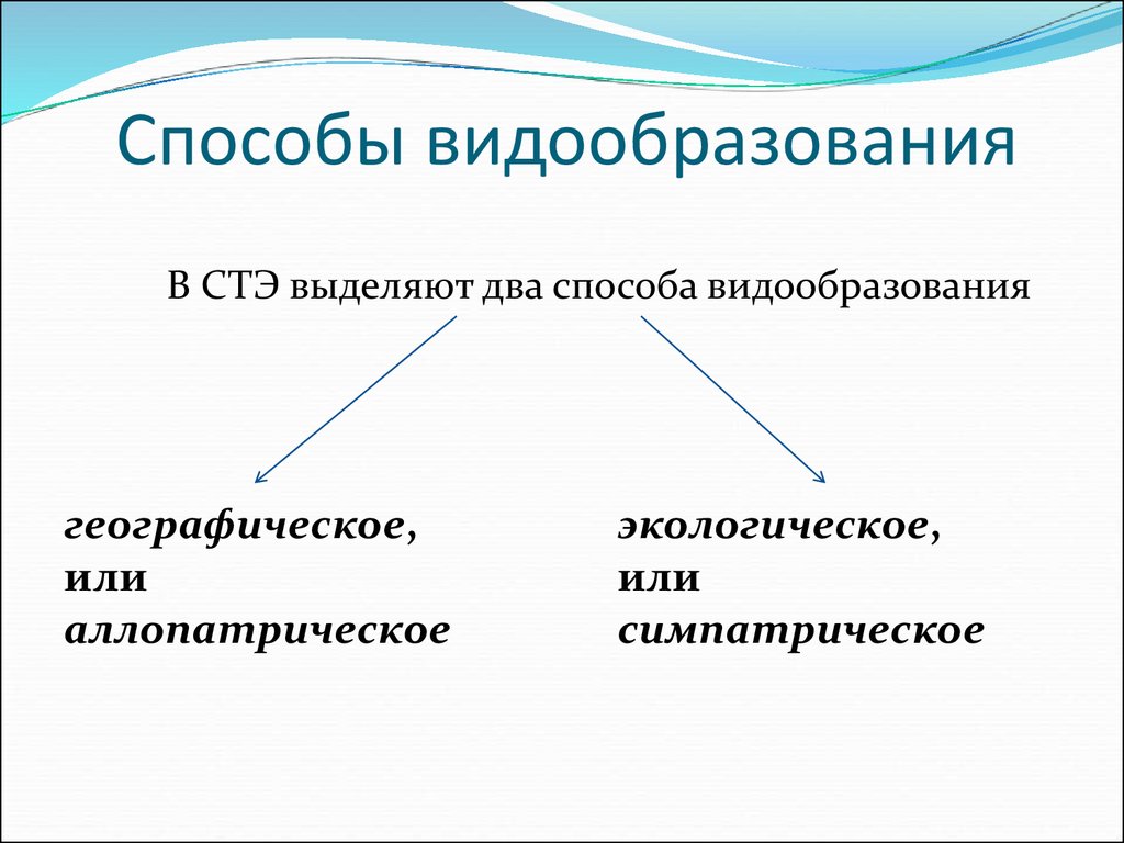 Способы видообразования. Пути видообразования биология 11 класс. Пособывидообразования. Два способа видообразования. Способы видообразования биология.