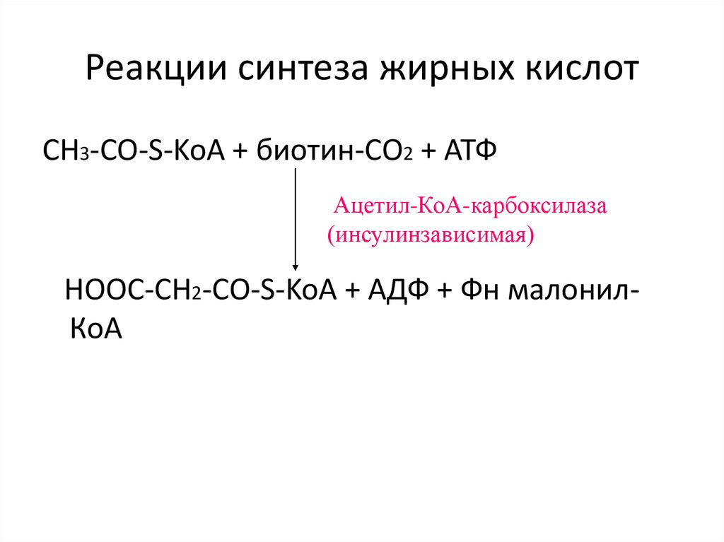 Синтез жирных кислот. Синтез жирных кислот реакции. Суммарное уравнение процесса синтеза жирных кислот. Ацетил КОА Синтез жирных кислот. Реакция ключевого фермента синтеза жирных кислот.