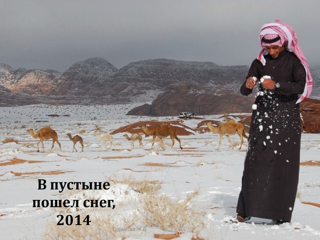 В пустыне пошел снег, 2014