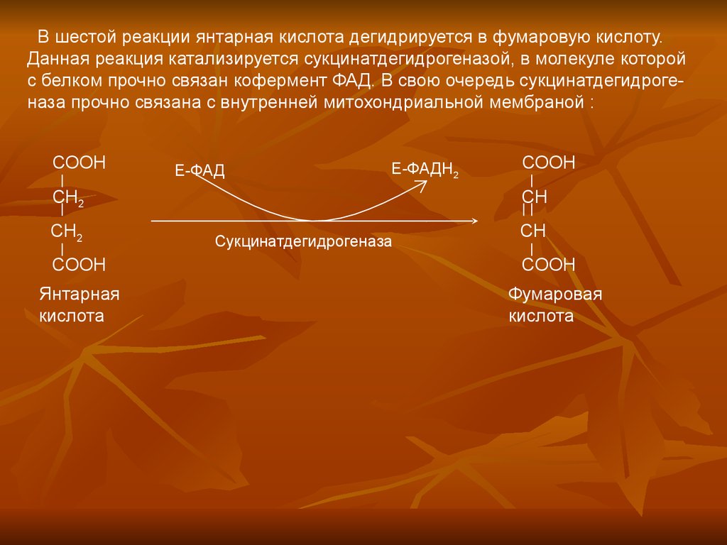 В ходе данной. Восстановление фумаровой кислоты реакция. Гидратация фумаровой кислоты in vivo. Окислительное декарбоксилирование α-кетоглутаровой кислоты. Окисление углеводов.