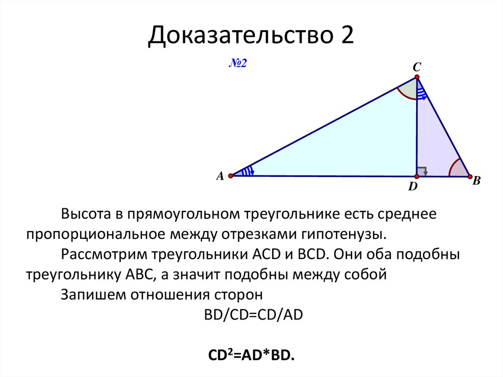 Длина высоты прямоугольного