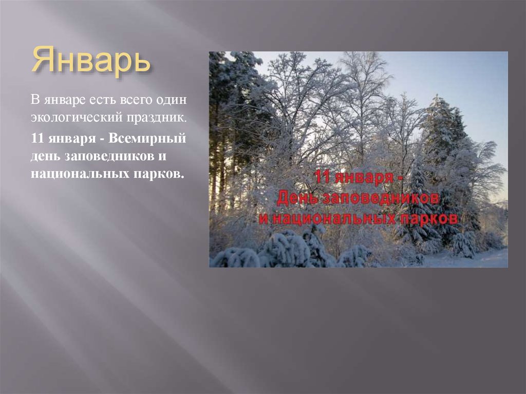 Праздники 11 декабря. Экологические праздники в январе. 11 Января Всемирный день заповедников. 11 Января праздник заповедников и национальных парков. 11 Января день заповедников презентация.