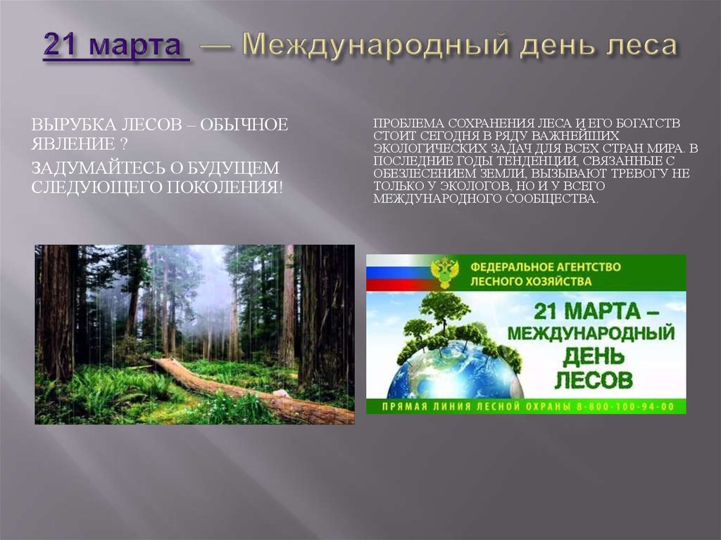 Всемирный день защиты лесов. Международный день леса презентация. Международный день лесов сообщение. Сообщение про день леса.