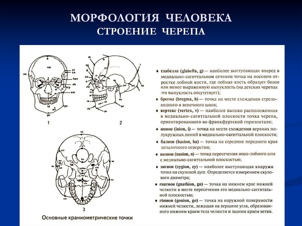 Усиление сосудистого рисунка черепа что значит