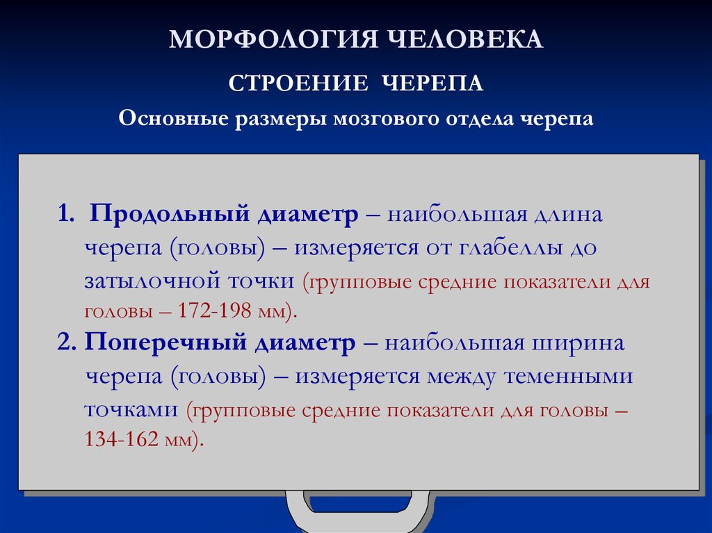 Повторение по теме морфология 7 класс презентация