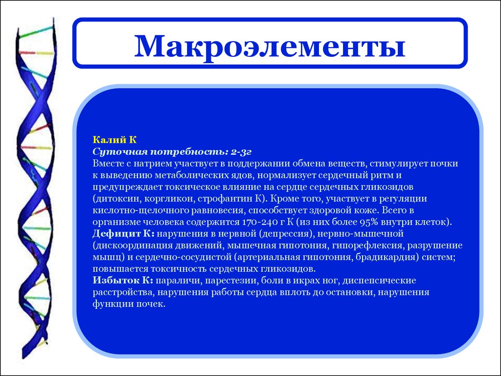 Участие калия в обмене веществ. Функции макроэлементов. Функции макроэлементов в организме человека. Макроэлементы калий. Макроэлементы кратко и понятно.