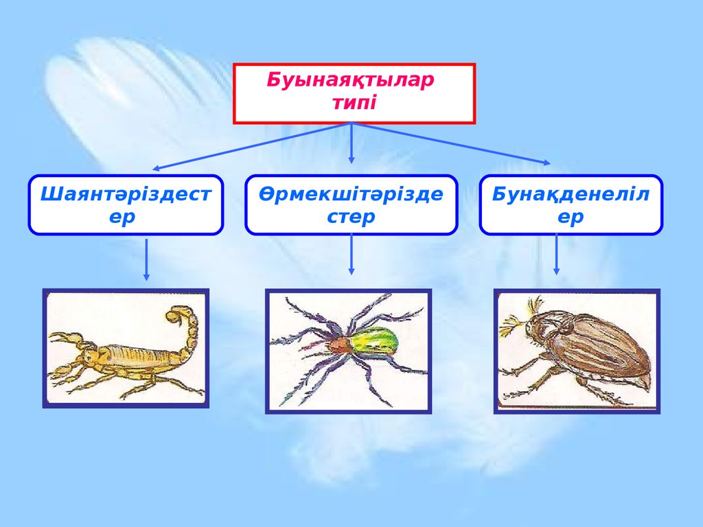 Буын синдромы презентация