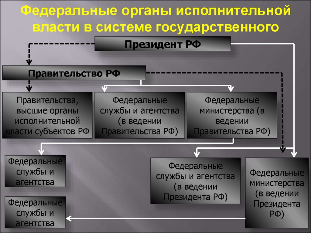 Административные полномочия административных органов