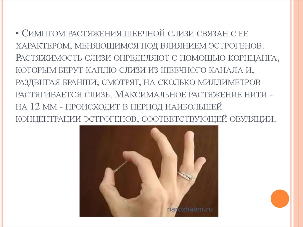 Цервикальная слизь. Симптом растяжения цервикальной слизи. Симптом растяжения шеечной слизи. Характер цервикальной слизи.