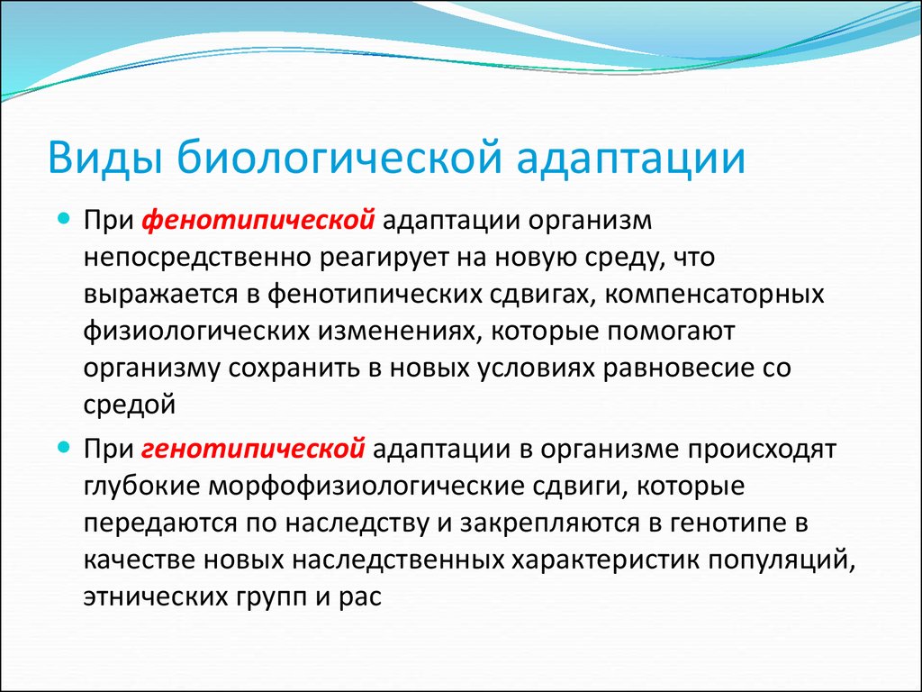 Социальный биологический вид. Виды биологической адаптации. Виды адаптации в биологии. Биологическая адаптация примеры. Виды фенотипической адаптации.