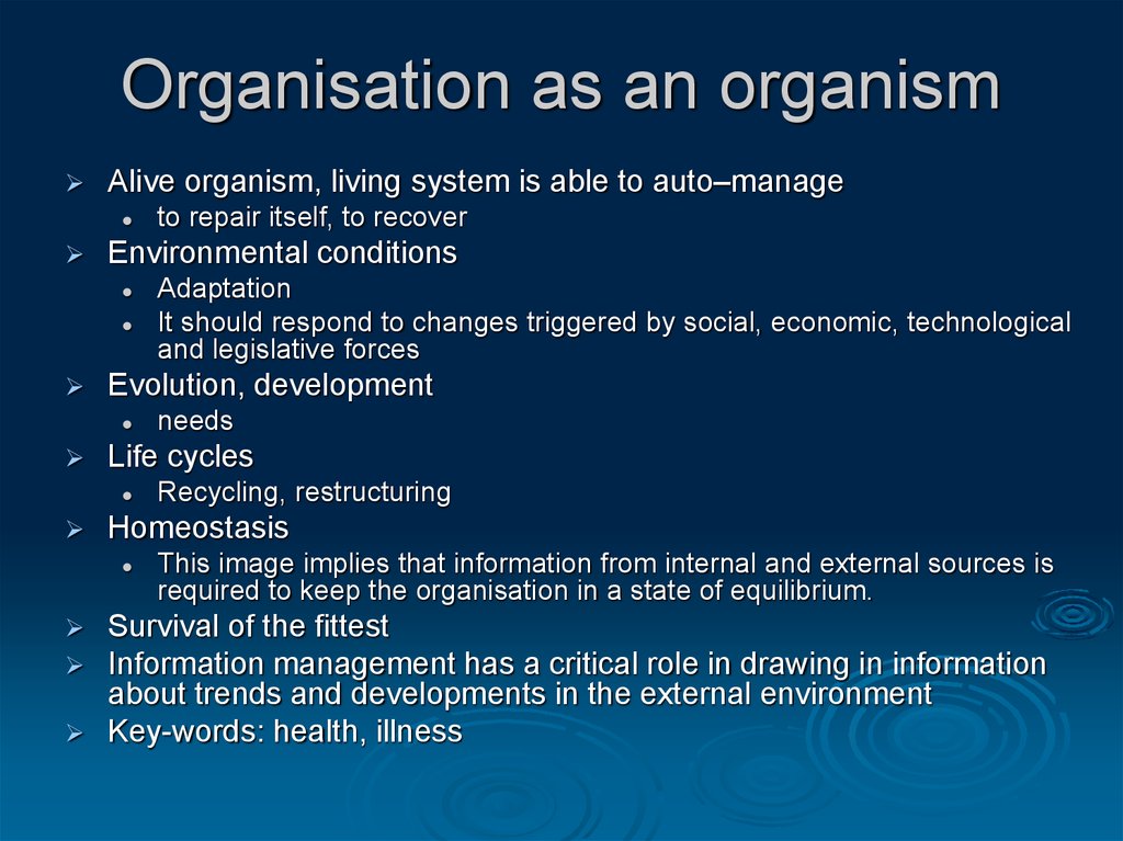 Organisation as an organism