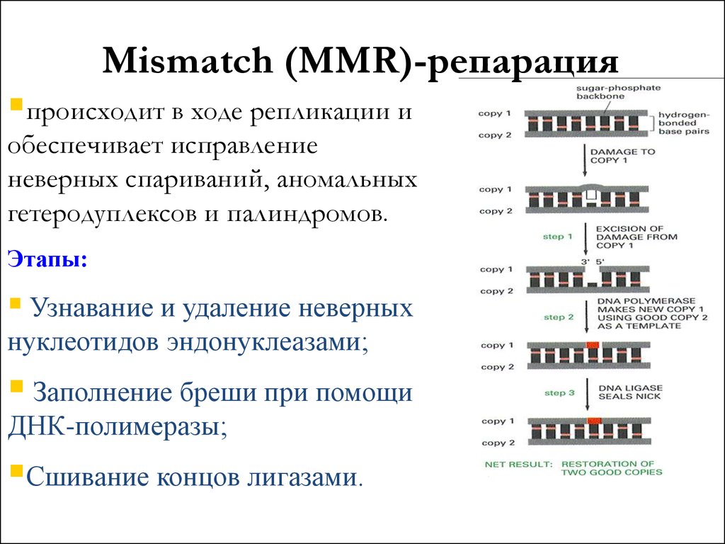 Репарация это простыми словами