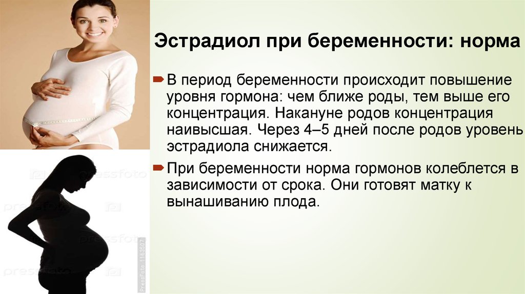 Эстрадиол при беременности: норма