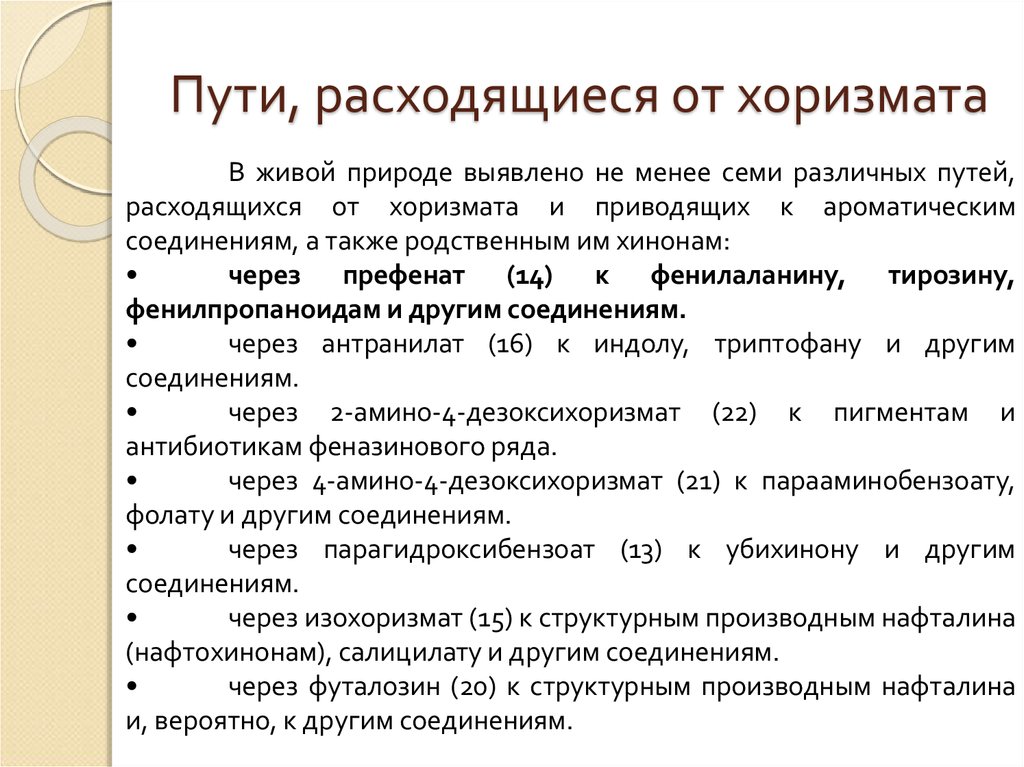 Пути, расходящиеся от хоризмата