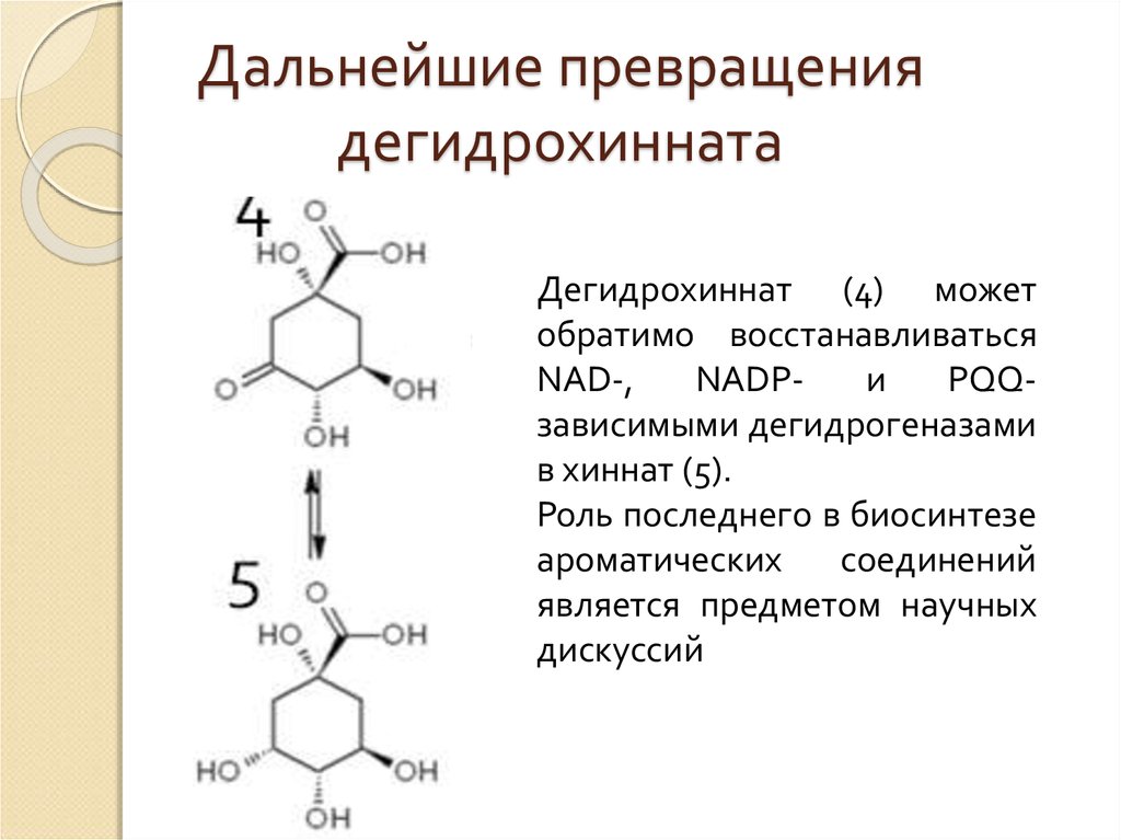 Дальнейшие превращения дегидрохинната