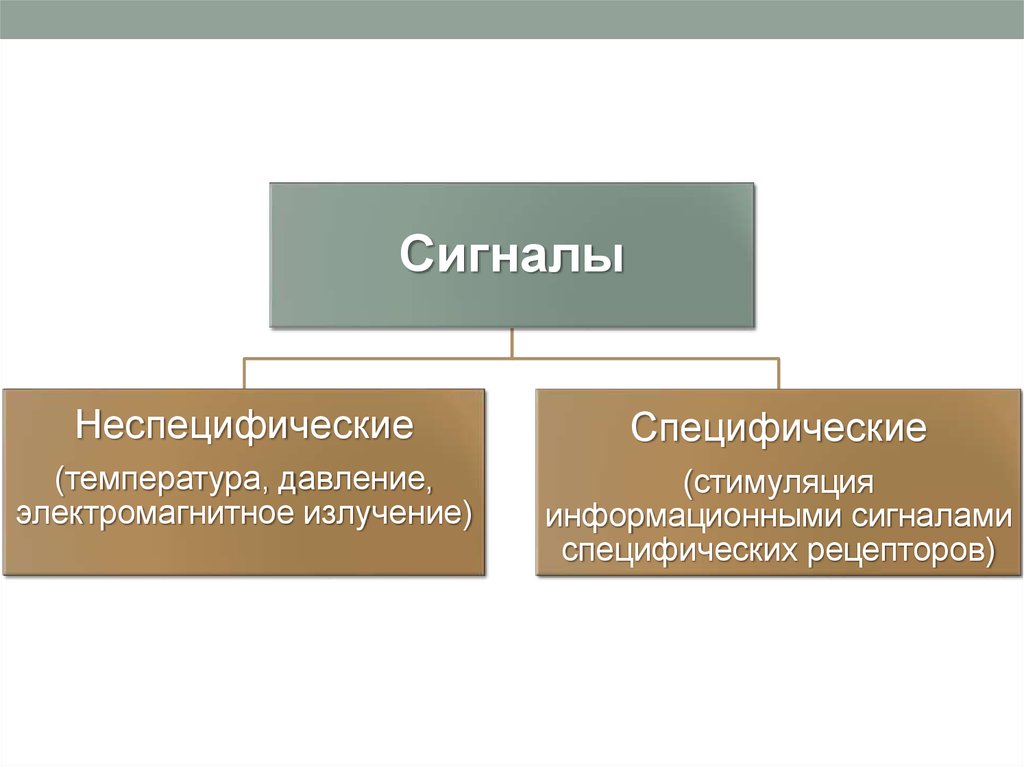 Основа информационный канал. Специфические сигналы.