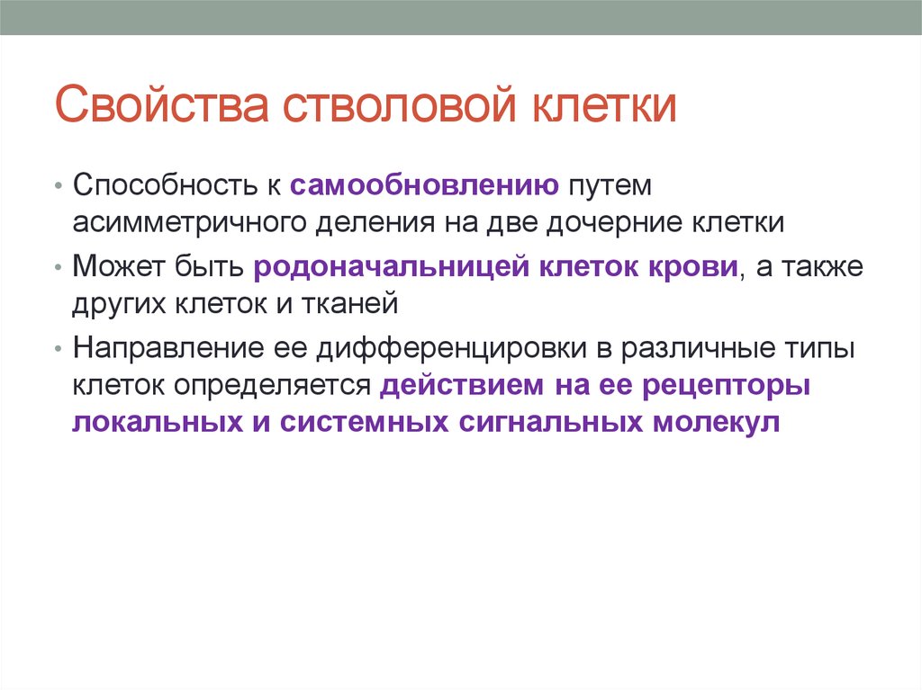 Система способная к самообновлению. Свойства стволовой клетки крови. Свойства стволовой клетки. Свойства стволовых клеток. Способности клетки.