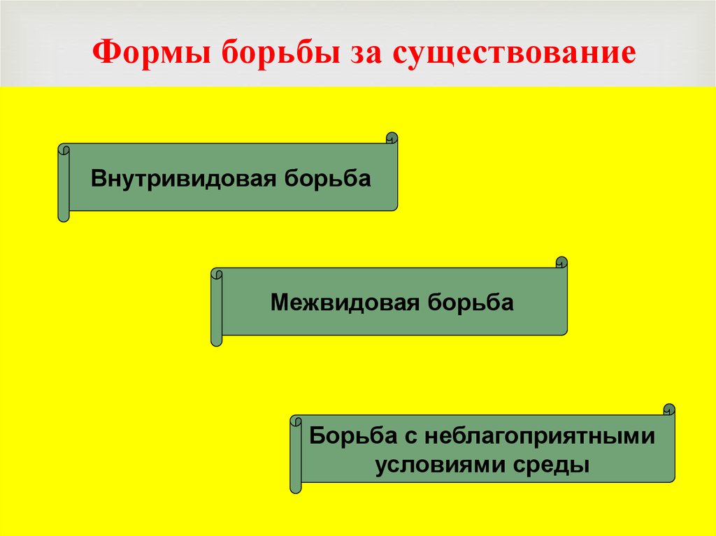 Борьба за существование схема