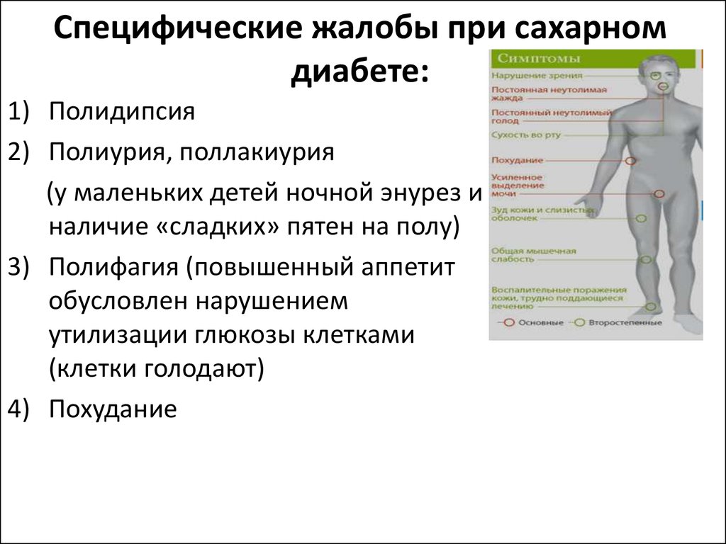 Мочеиспускание при диабете 2. Сахарный диабет полиурия причины. Механизм полиурии при сахарном диабете. Жлобы при сахарном диабете. Жалобы при сахарном диабе.