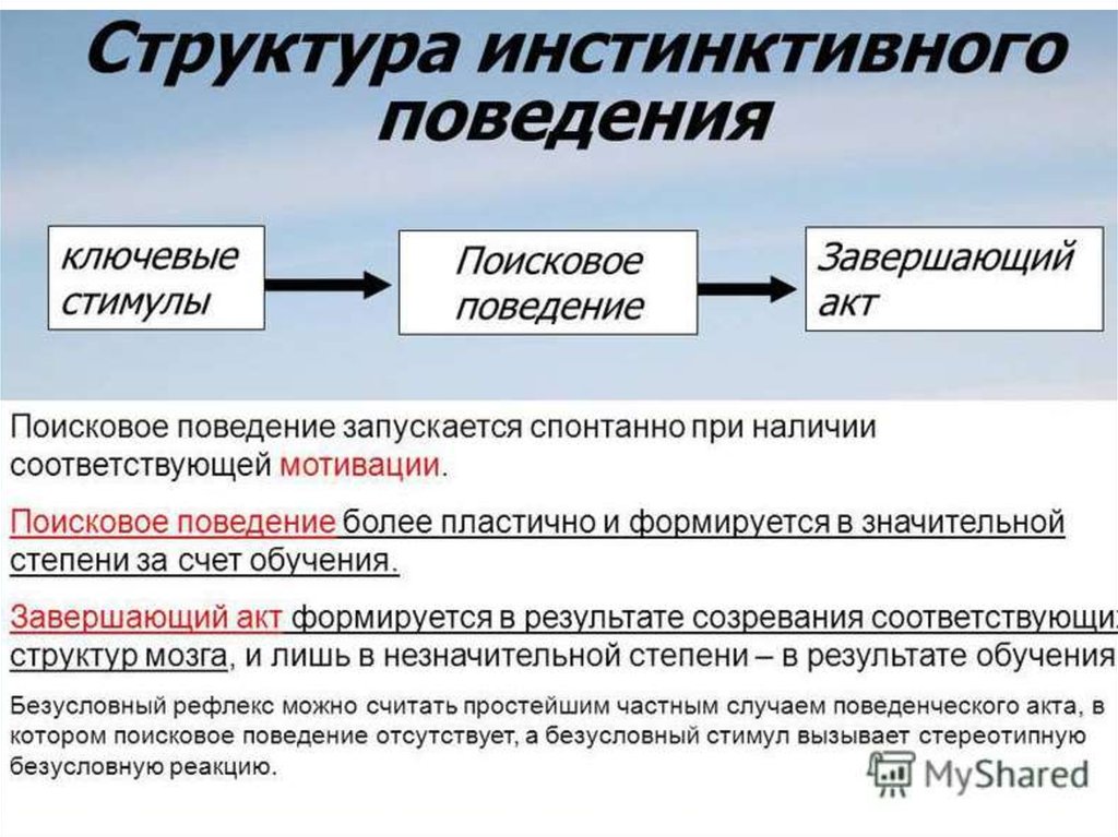 Инстинкты рассудочная